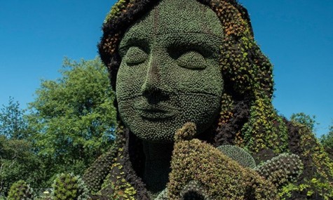 加拿大国际立体花坛大赛创意作品